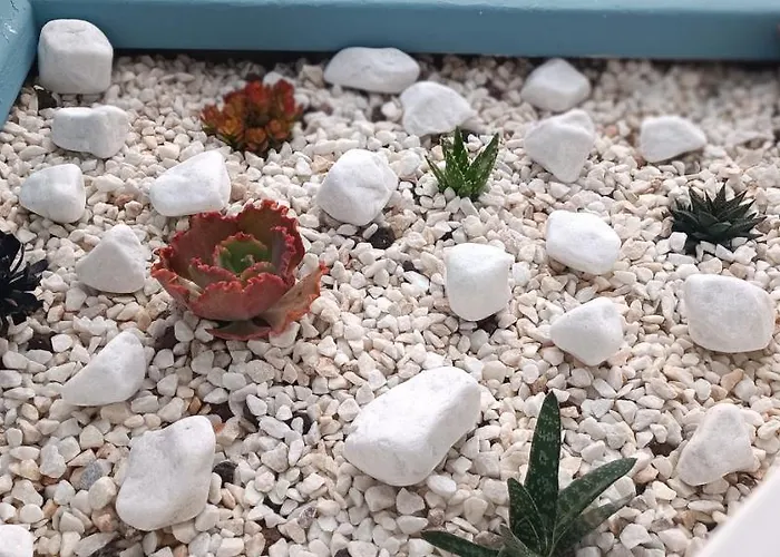 Lejlighed Serendipia San Miguel de Abona